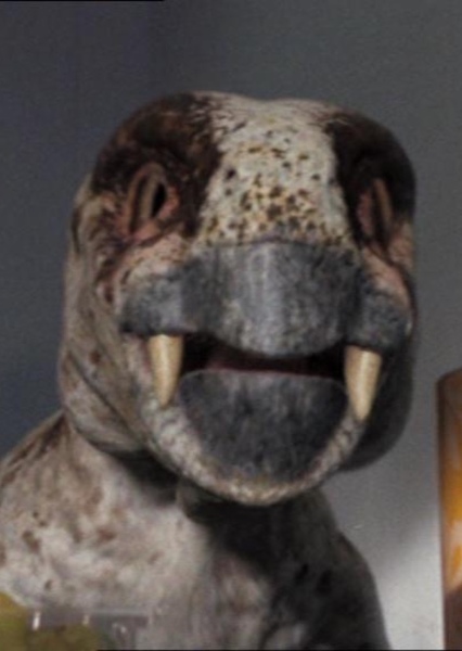 Diictodon