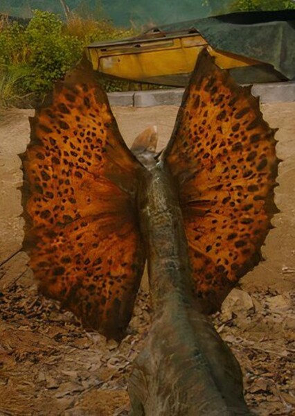 Dilophosaurus photo