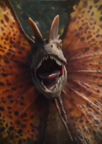 Dilophosaurus photo