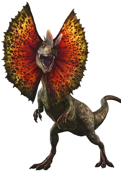 Dilophosaurus photo