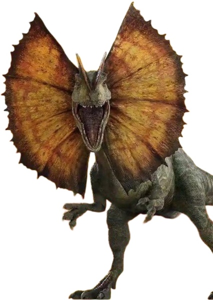 Dilophosaurus photo