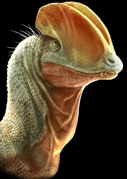 Dilophosaurus photo