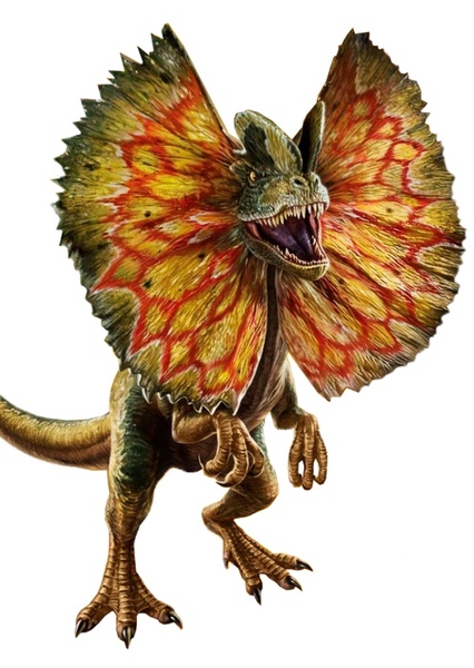 Dilophosaurus photo