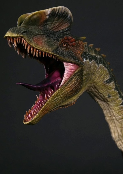 Dilophosaurus photo