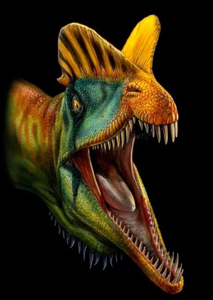 Dilophosaurus photo