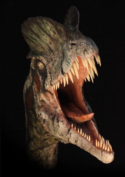 Dilophosaurus photo