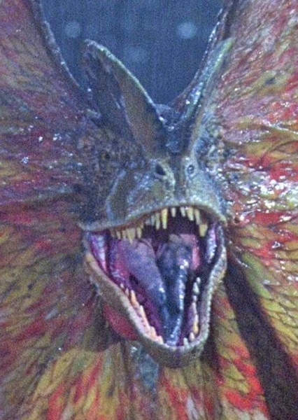 Dilophosaurus photo