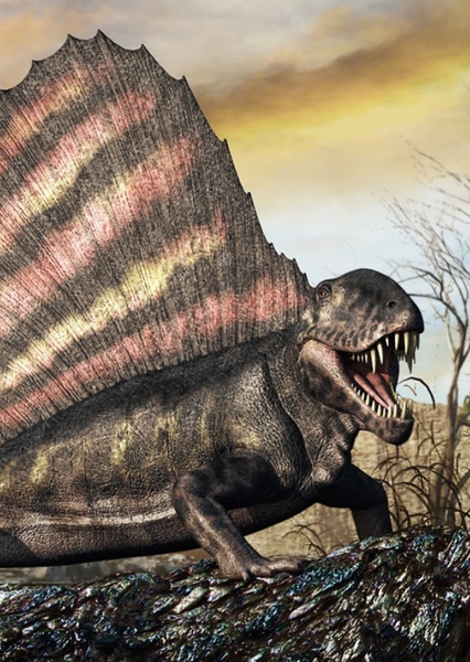 Dimetrodon photo