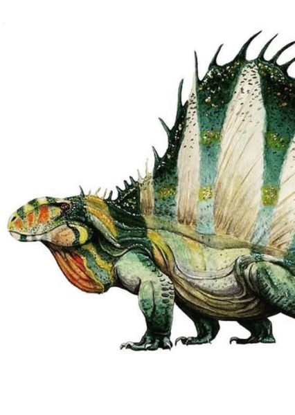 Dimetrodon photo