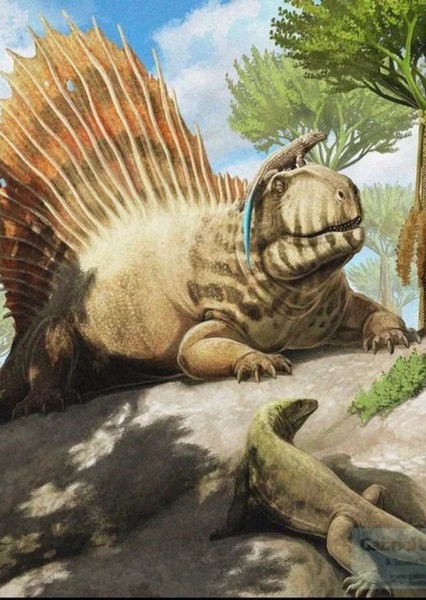 Dimetrodon photo