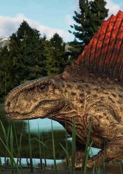 Dimetrodon photo