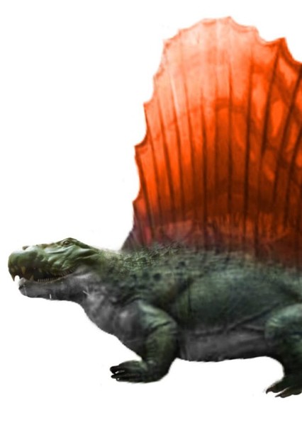 Dimetrodon photo