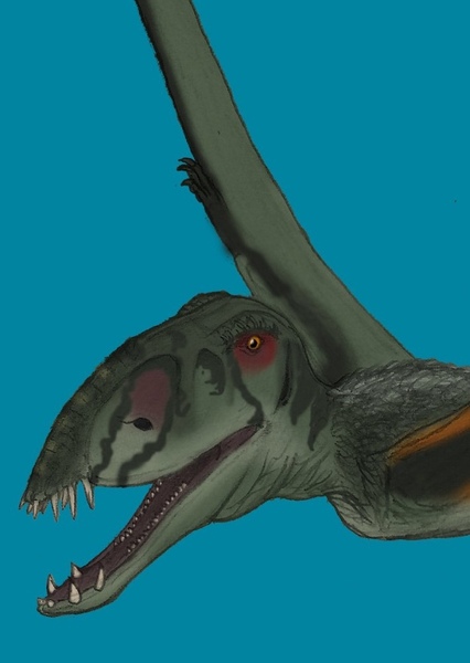 Dimorphodon photo