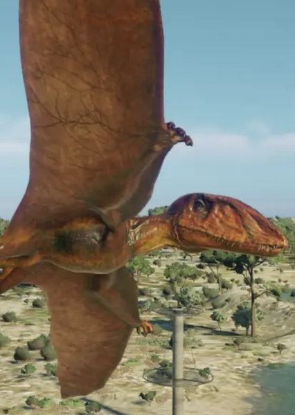 Dimorphodon photo