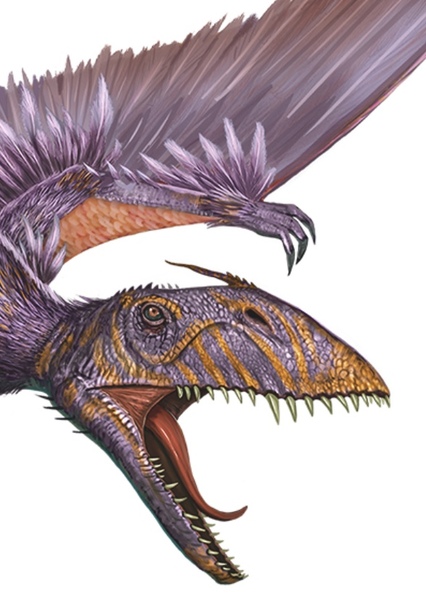 Dimorphodon photo