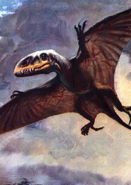 Dimorphodon