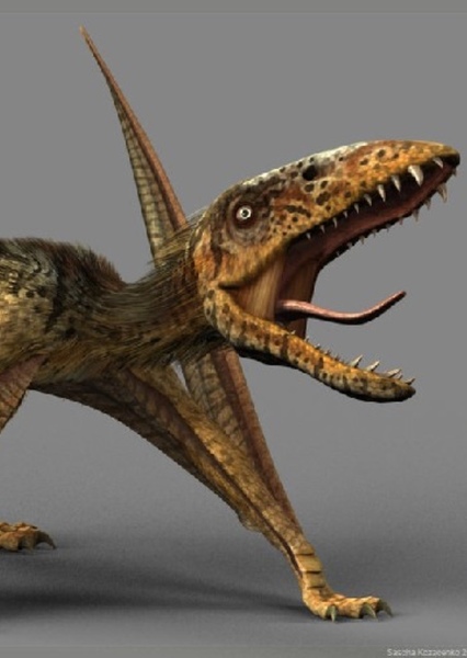 Dimorphodon photo