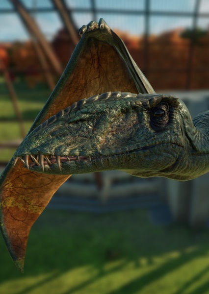 Dimorphodon photo