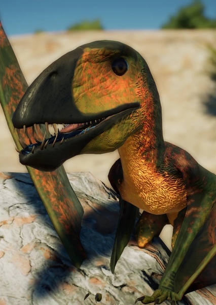 Dimorphodon photo