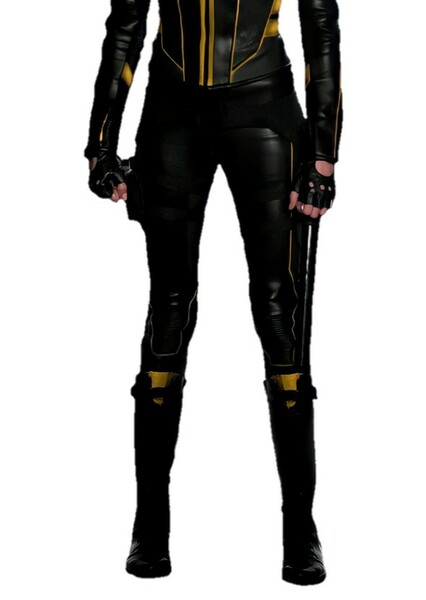 Dinah Laurel-Lance photo