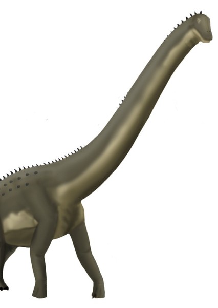 Dinheirosaurus photo