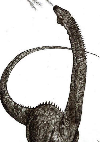 Dinheirosaurus photo