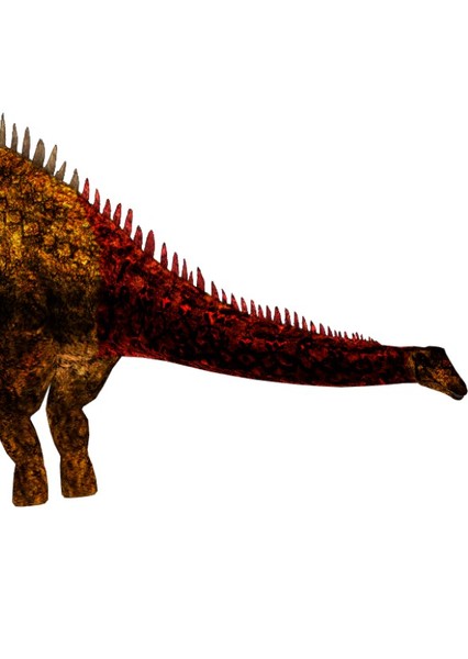 Dinheirosaurus photo
