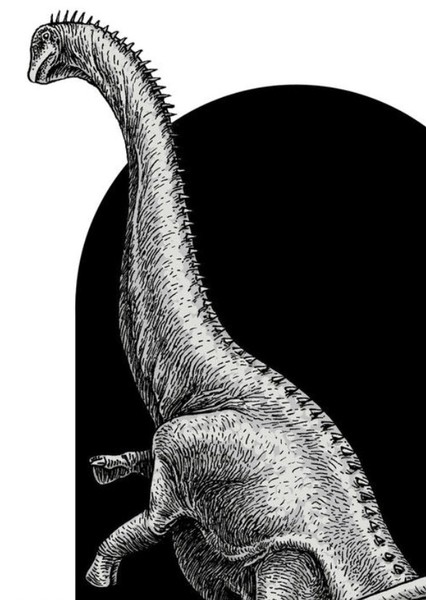 Dinheirosaurus photo