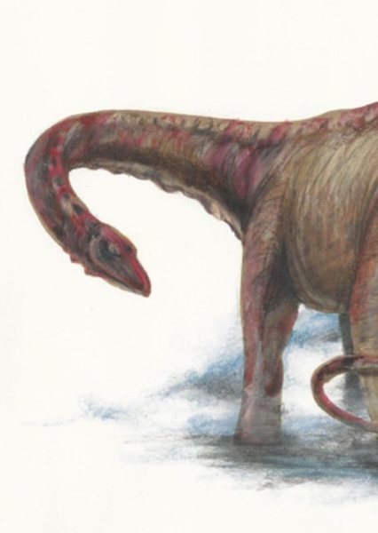 Dinheirosaurus photo