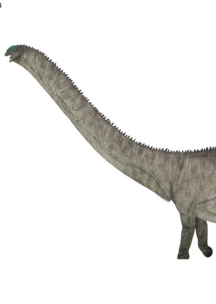Dinheirosaurus photo