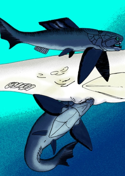 Dinichthys