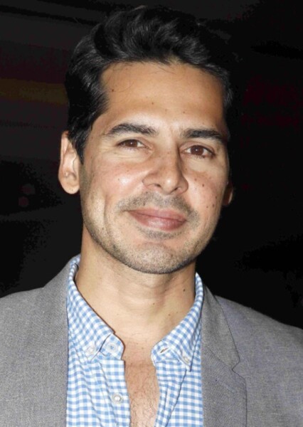 Dino Morea photo