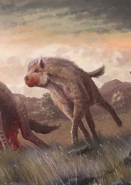 Dinocrocuta