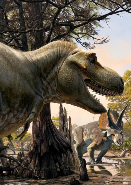 Dinosaurs photo