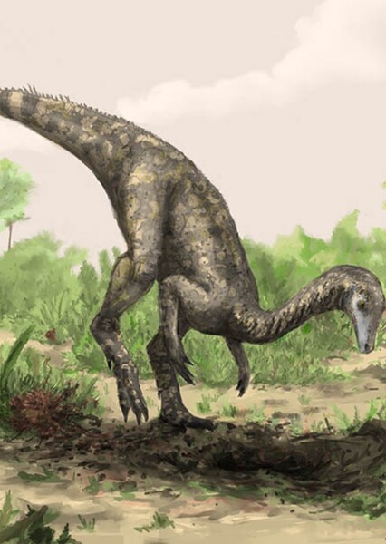 Dinosaurs photo