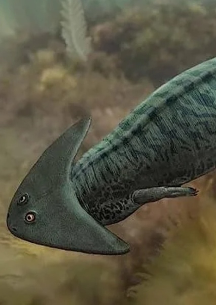 Diplocaulus