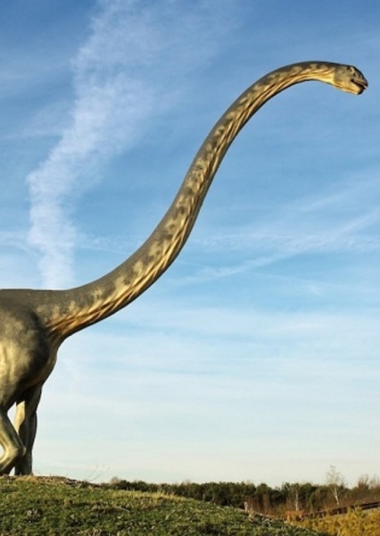 Diplodoculus