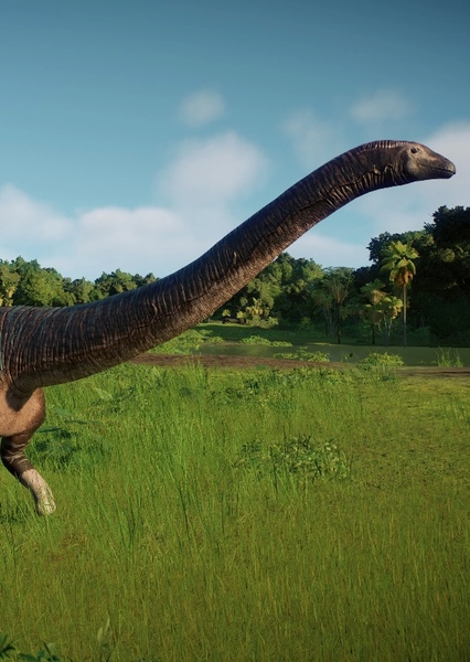 Diplodocus photo