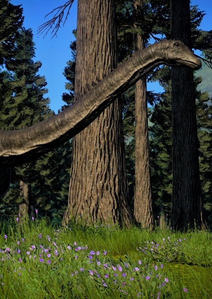 Diplodocus photo