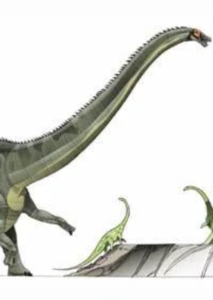 Diplodocus photo