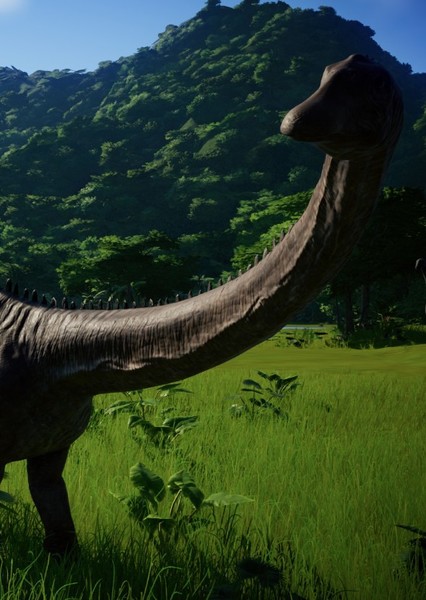 Diplodocus photo
