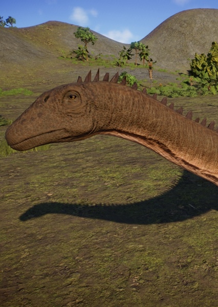 Diplodocus photo