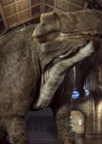 Diplodocus (Dippy) (David Attenborough's Natural History Museum Alive)