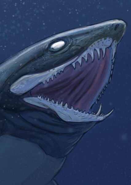 Diplognathus