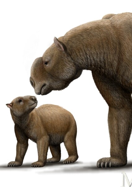Diprotodon photo