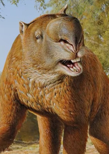 Diprotodon photo