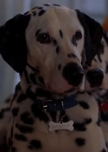 Dipstick (101 Dalmatians) photo