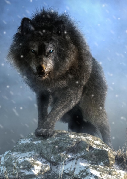 Dire Wolf photo
