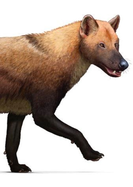 Dire Wolf photo