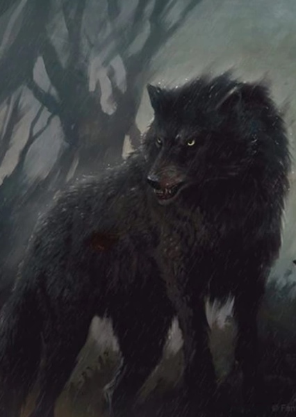 Dire Wolf photo